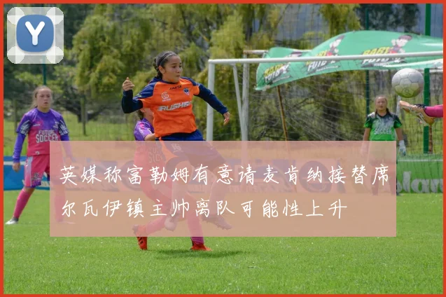 英媒称富勒姆有意请麦肯纳接替席尔瓦伊镇主帅离队可能性上升
