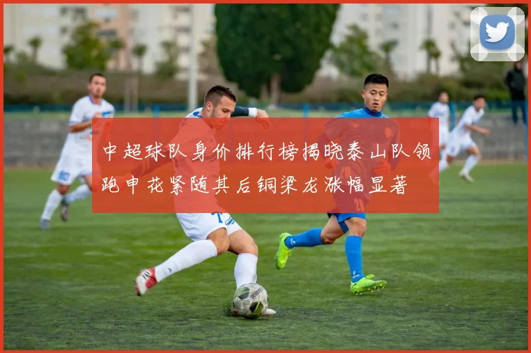 中超球队身价排行榜揭晓泰山队领跑申花紧随其后铜梁龙涨幅显著
